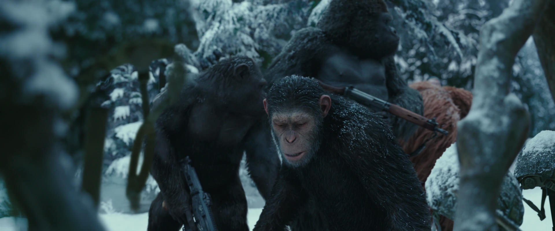 War for the Planet of the Apes (2017) movie still 4855