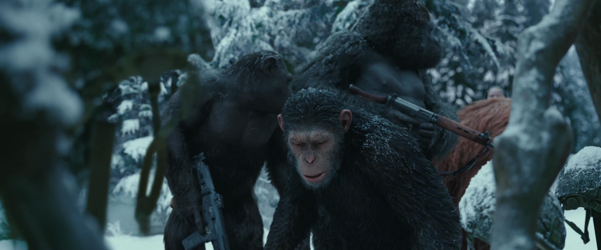 War for the Planet of the Apes (2017) HD screenshot 4856