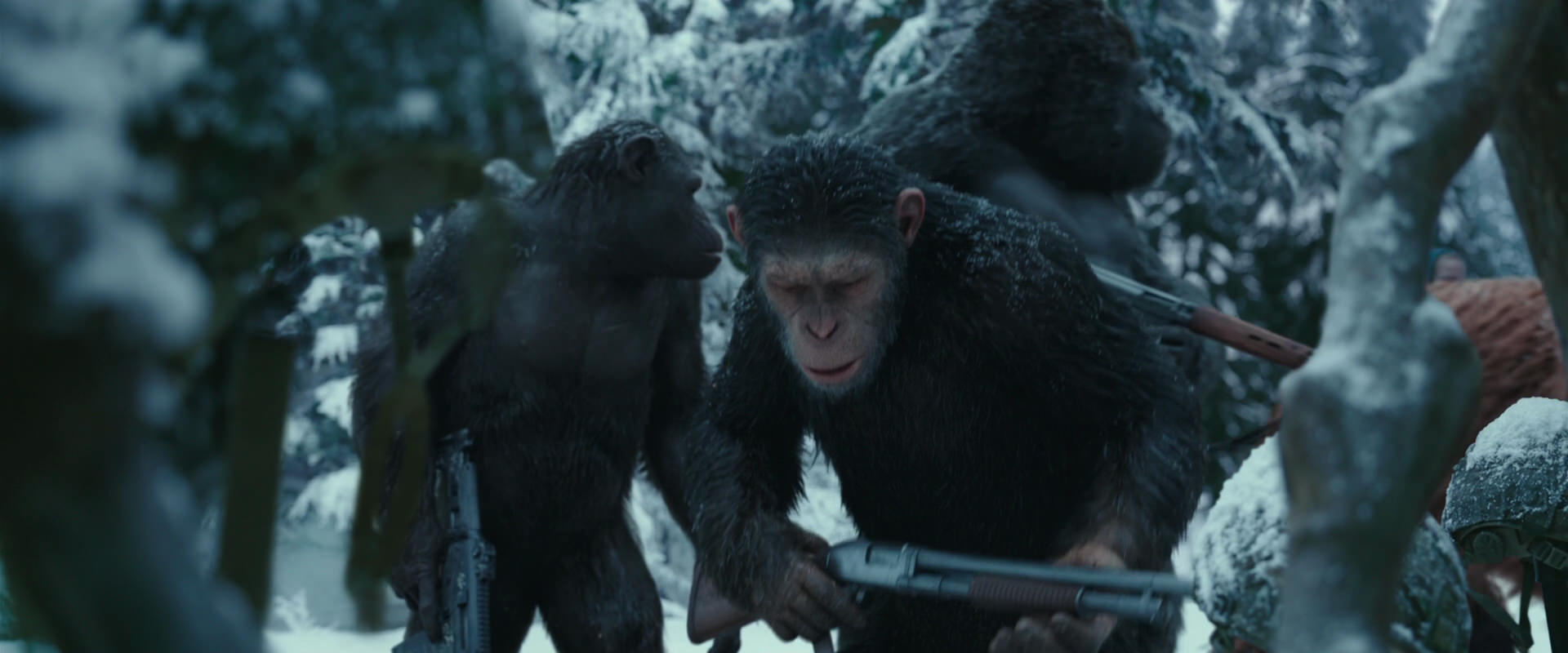 War for the Planet of the Apes (2017) movie still 4858