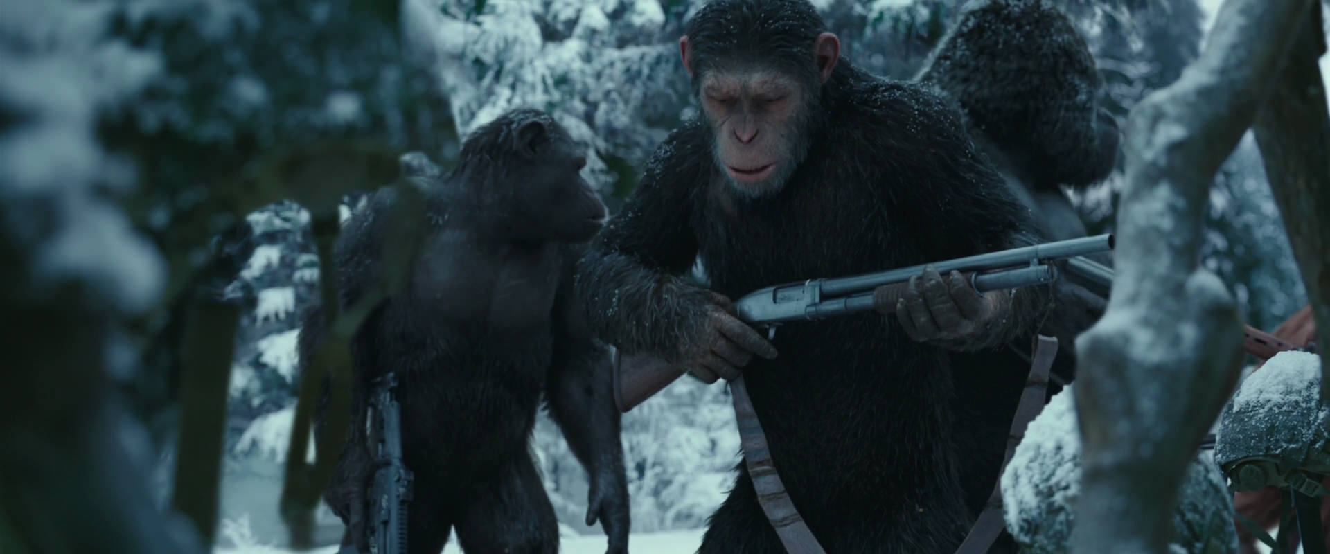 War for the Planet of the Apes (2017) screencap 4860