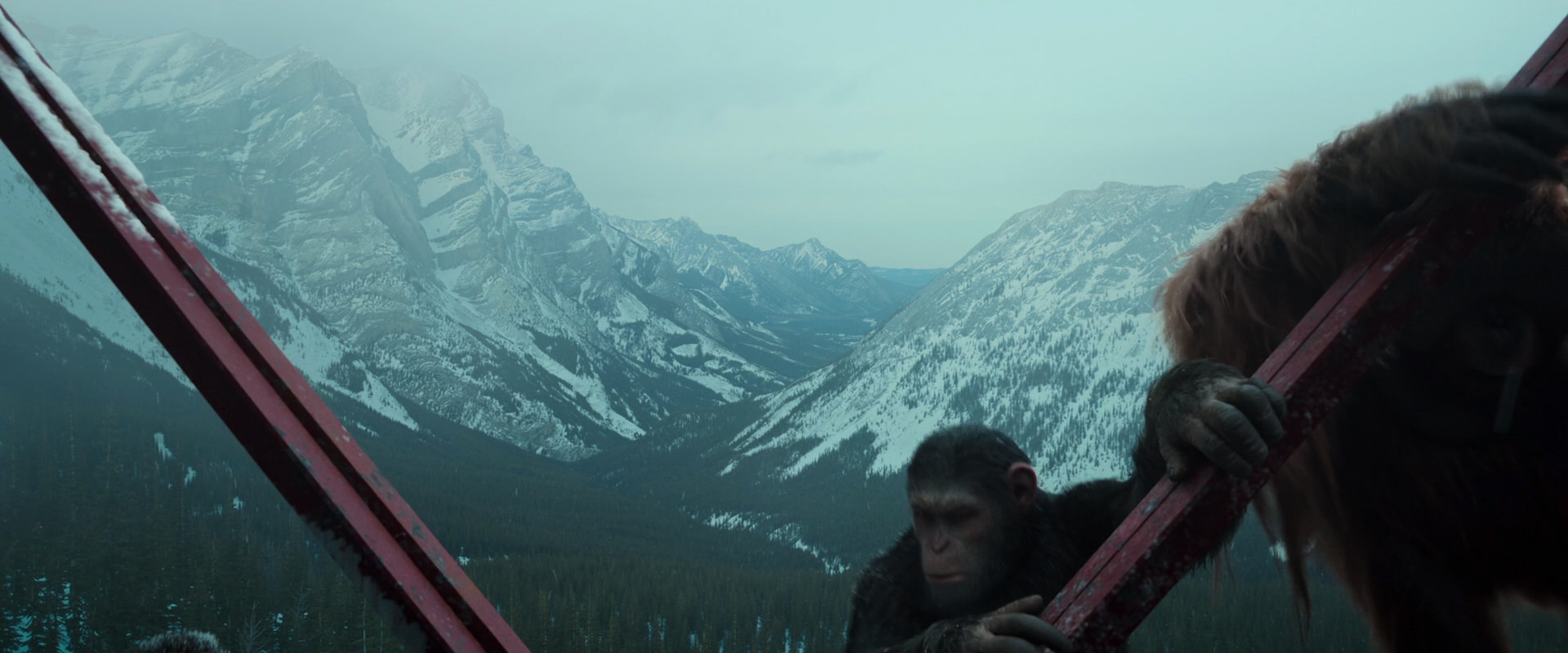 War for the Planet of the Apes (2017) screencap 4881