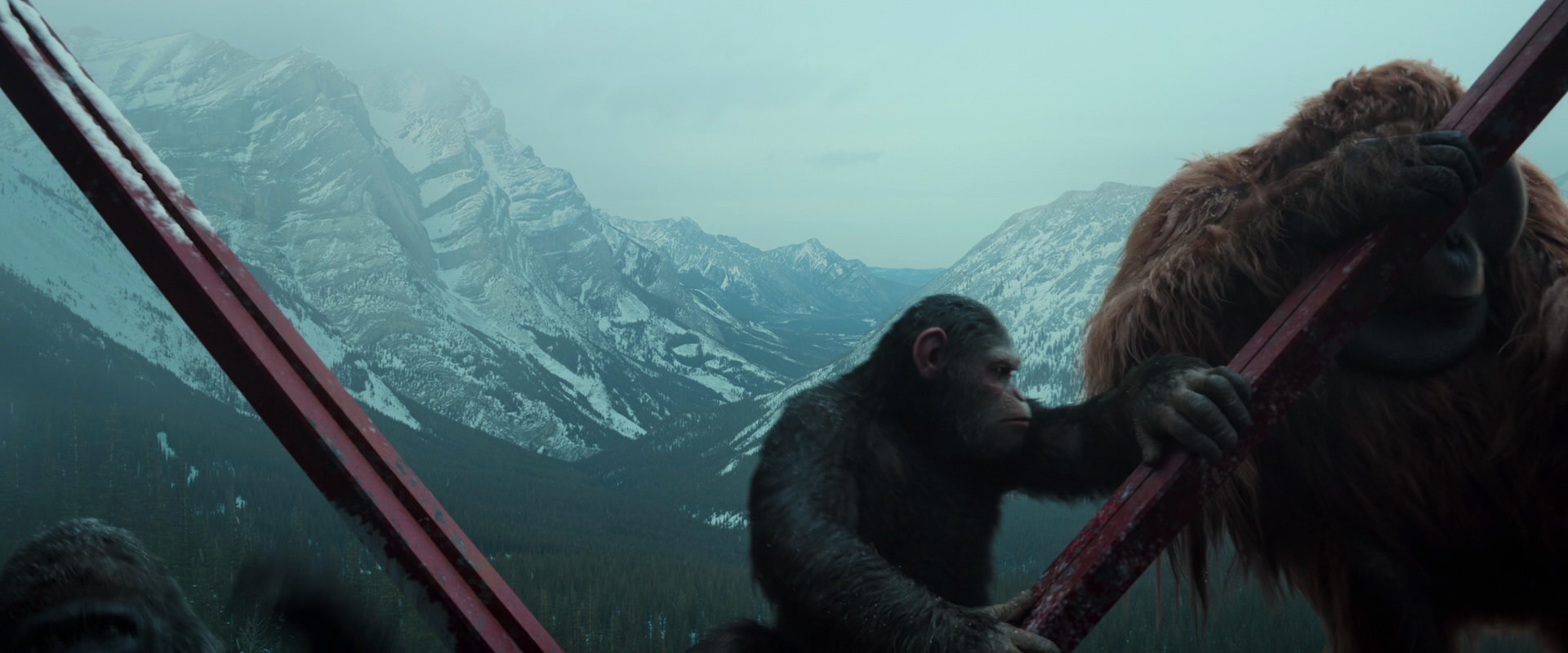 War for the Planet of the Apes (2017) movie still 4882
