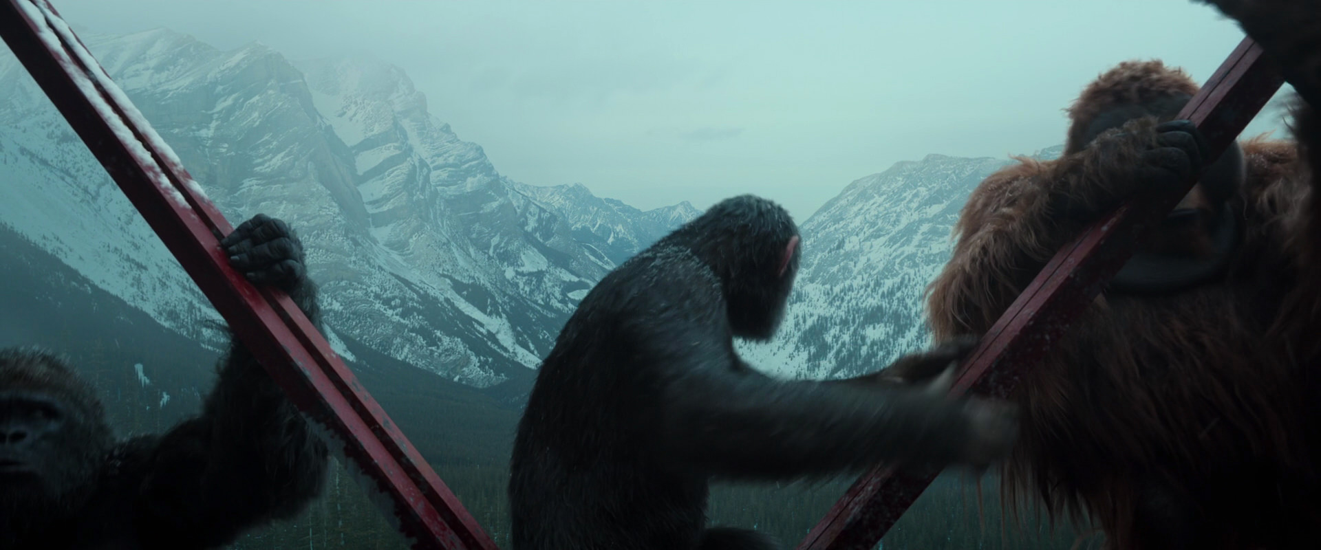 War for the Planet of the Apes (2017) HD screenshot 4883