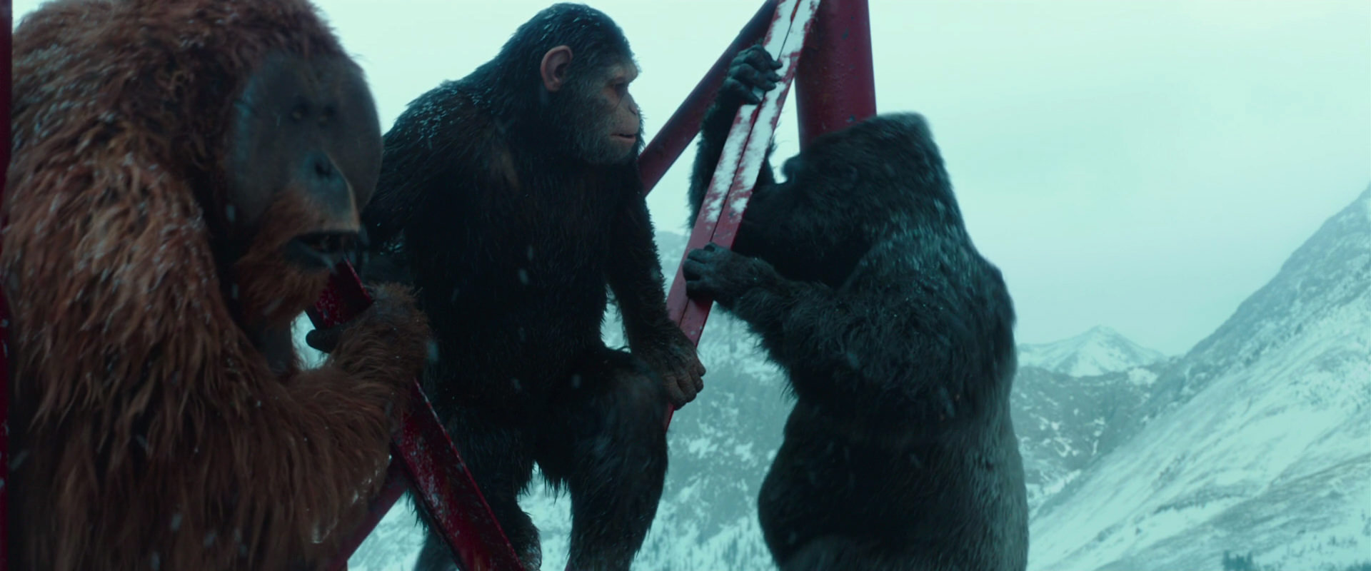 War for the Planet of the Apes (2017) screencap 4884