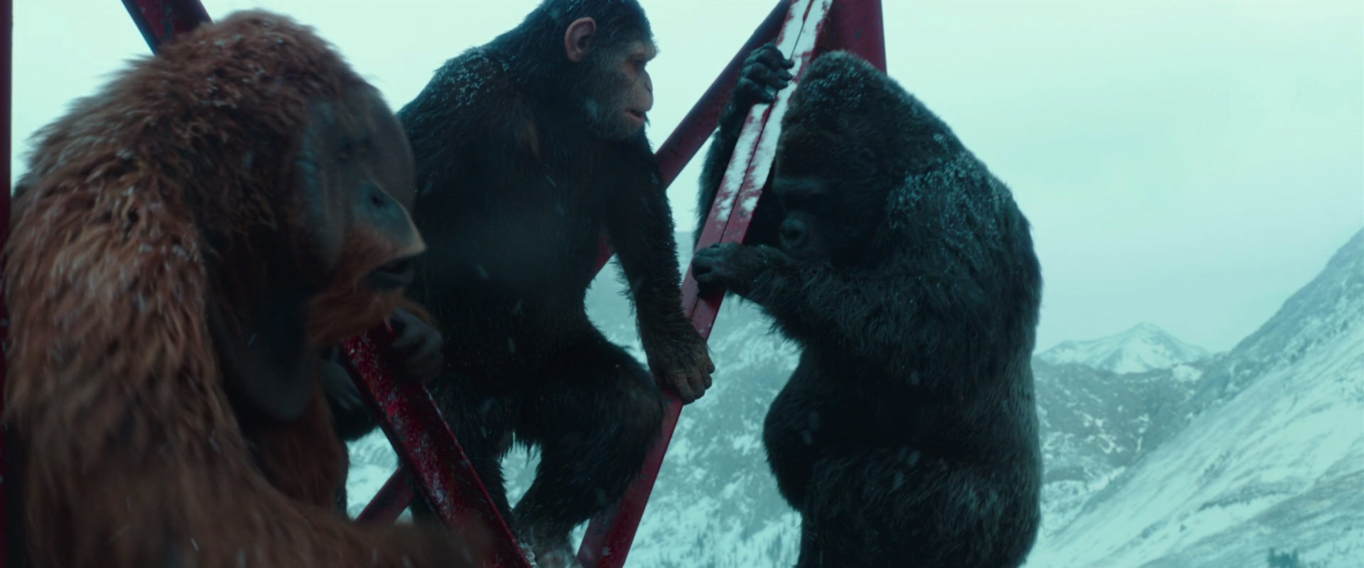 War for the Planet of the Apes (2017) movie still 4885