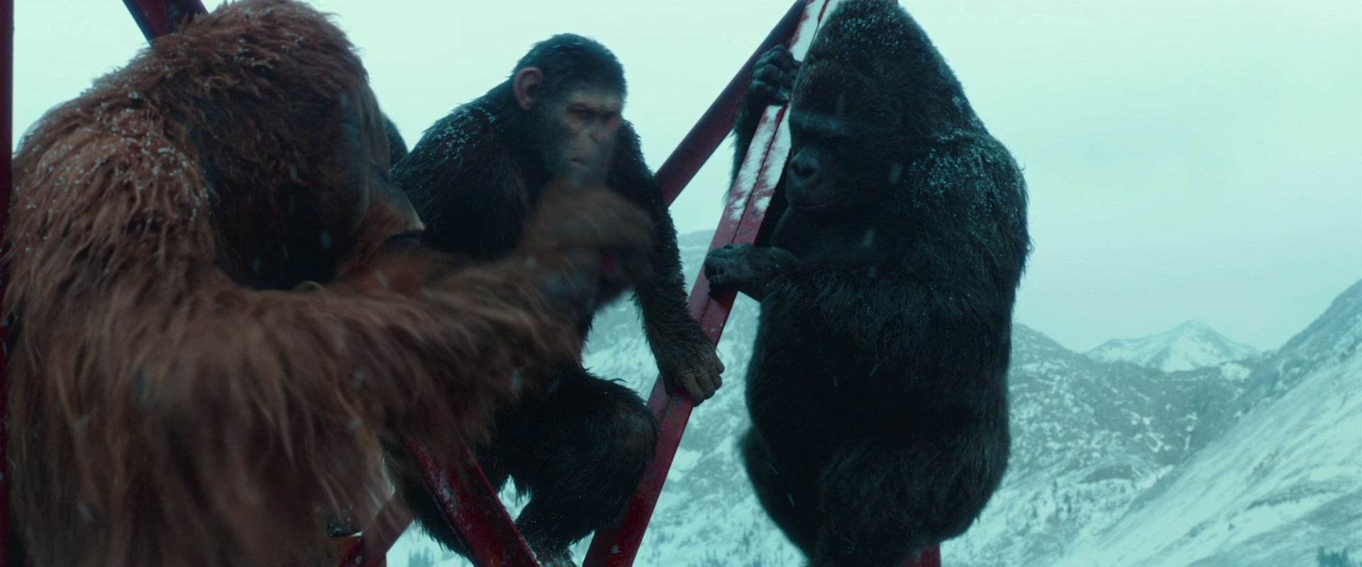War for the Planet of the Apes (2017) HD screenshot 4886