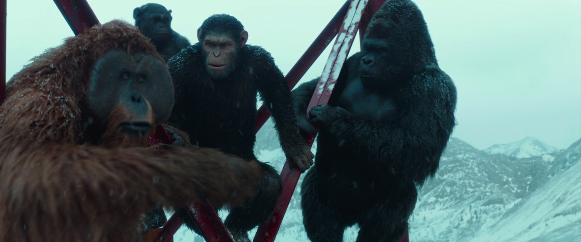 War for the Planet of the Apes (2017) screencap 4887