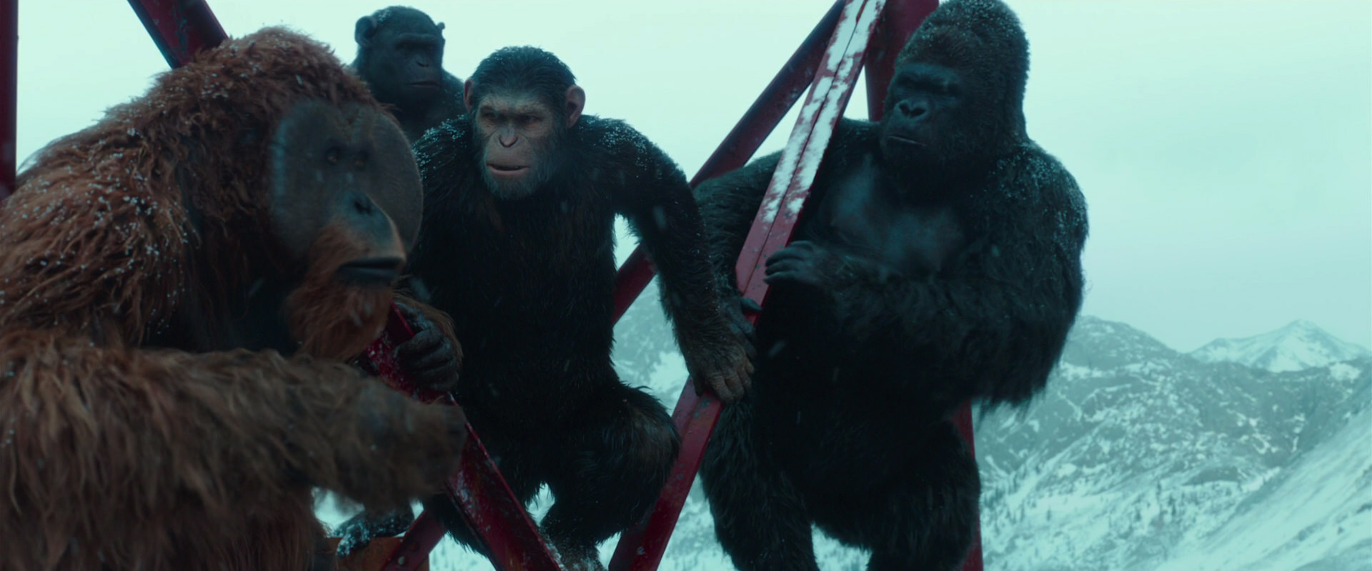 War for the Planet of the Apes (2017) movie still 4888