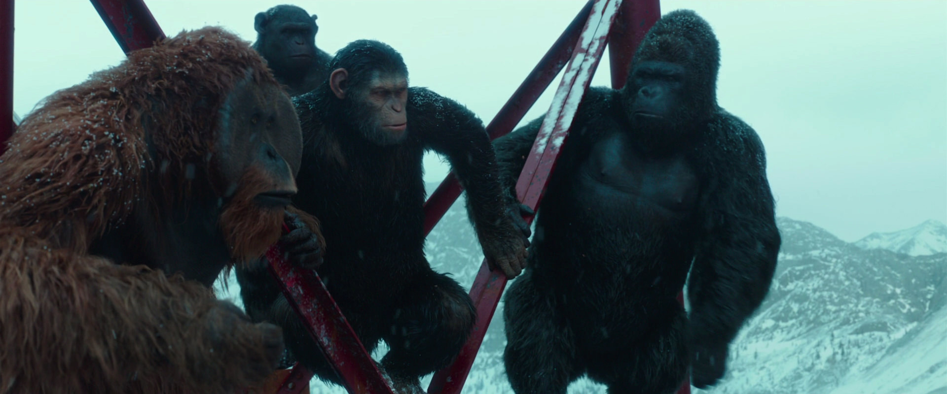 War for the Planet of the Apes (2017) HD screenshot 4889