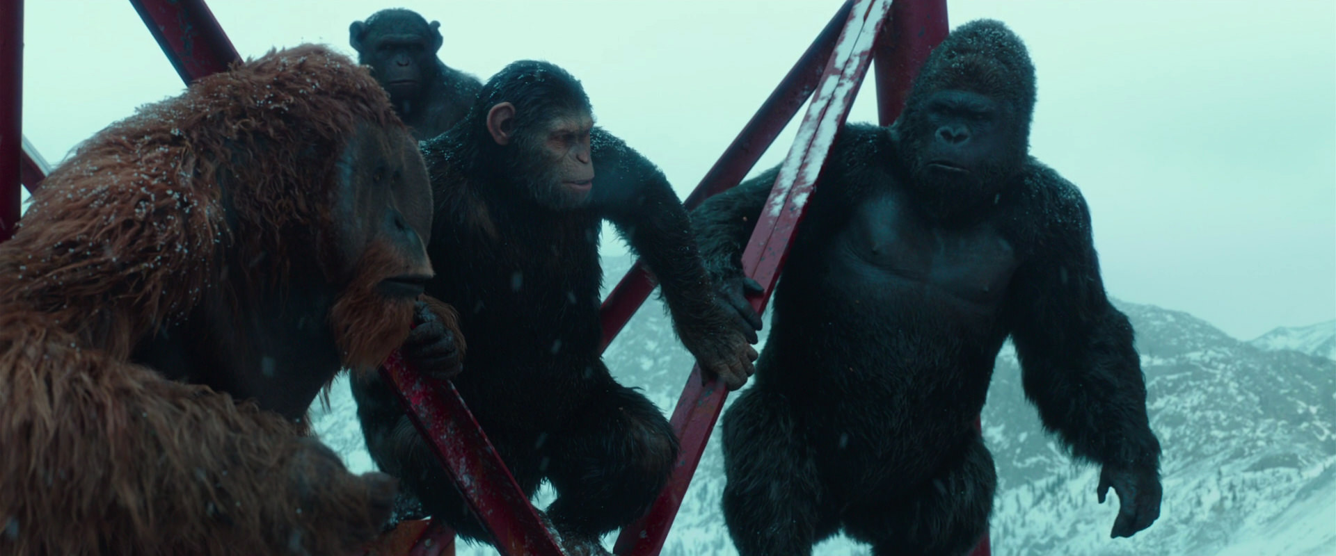 War for the Planet of the Apes (2017) screencap 4890