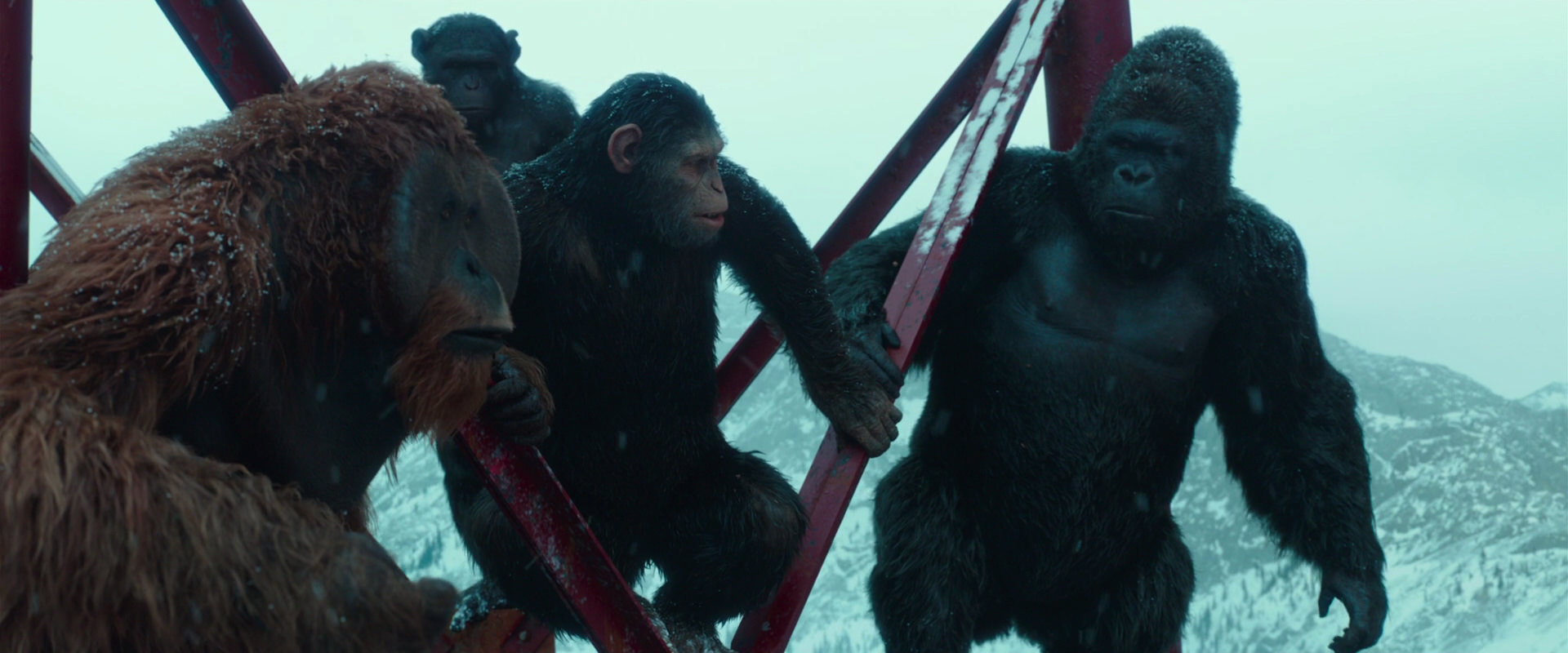 War for the Planet of the Apes (2017) movie still 4891
