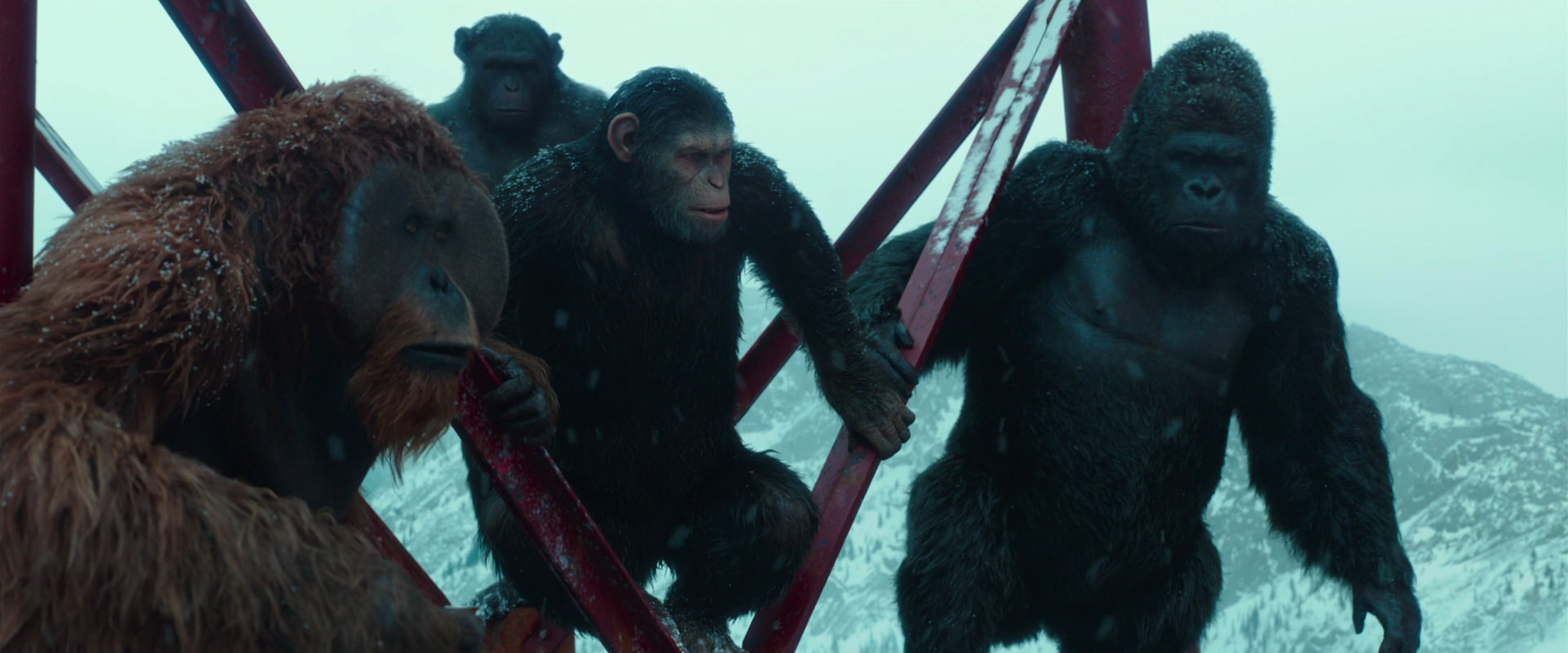 War for the Planet of the Apes (2017) HD screenshot 4892