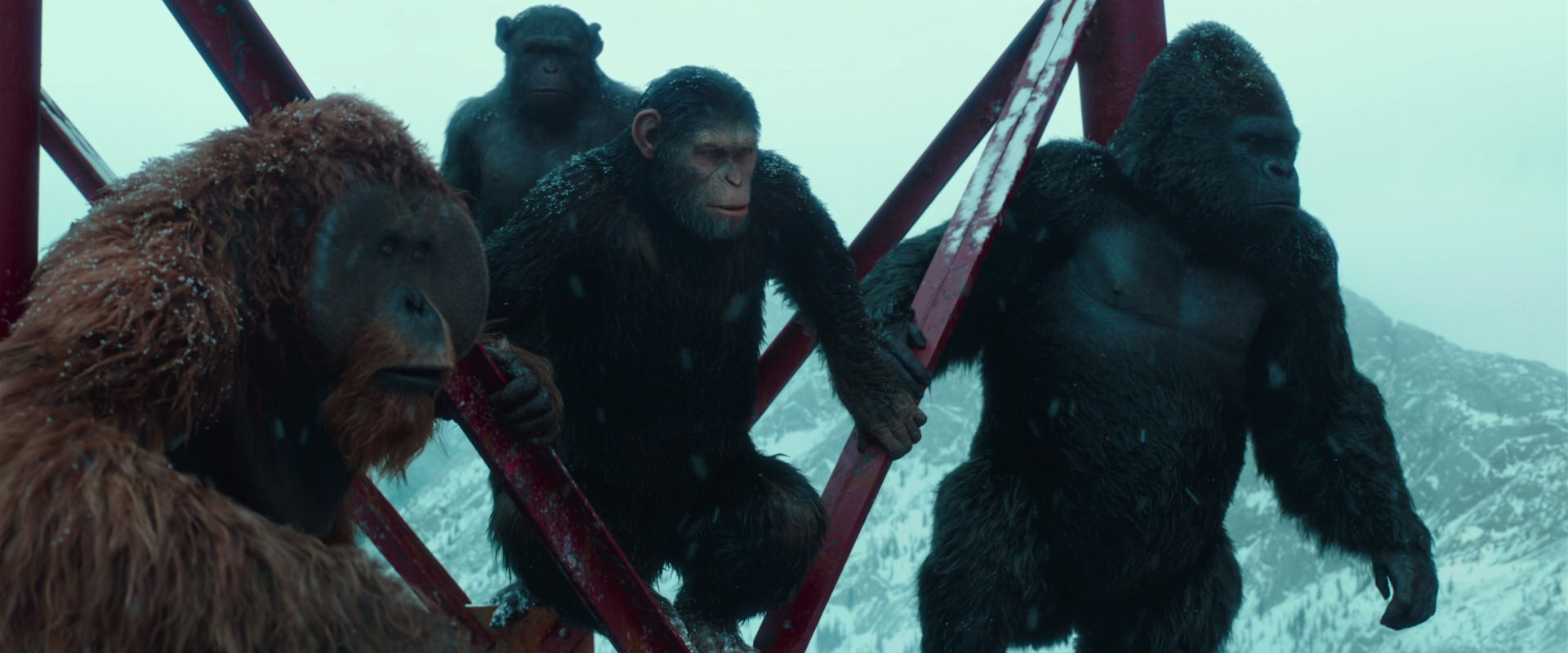 War for the Planet of the Apes (2017) screencap 4893