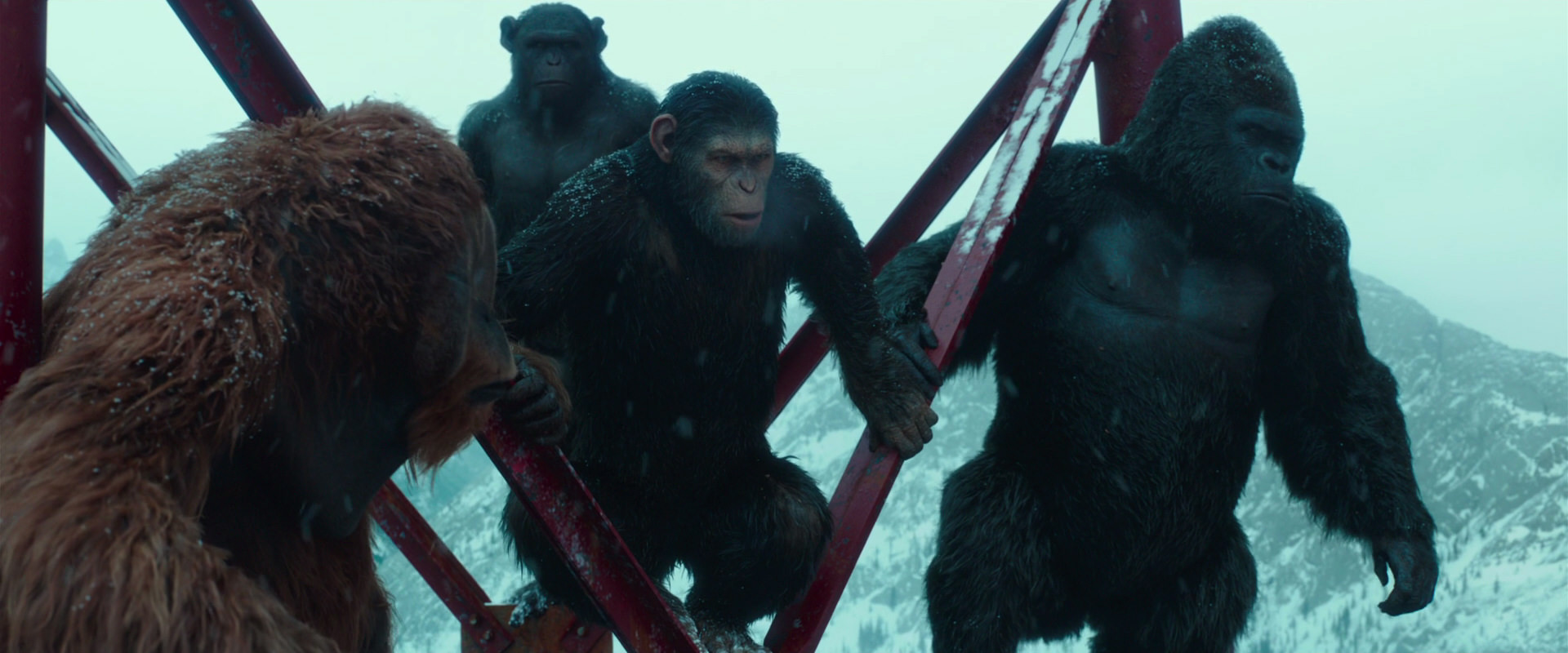 War for the Planet of the Apes (2017) movie still 4894