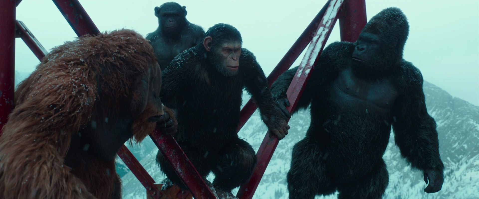 War for the Planet of the Apes (2017) HD screenshot 4895