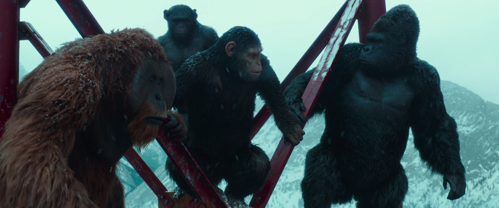 War for the Planet of the Apes (2017) screencap 4896
