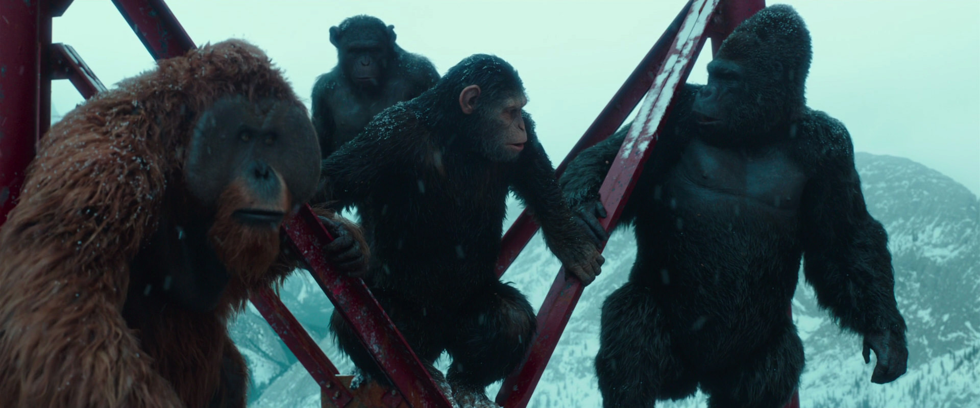War for the Planet of the Apes (2017) movie still 4897