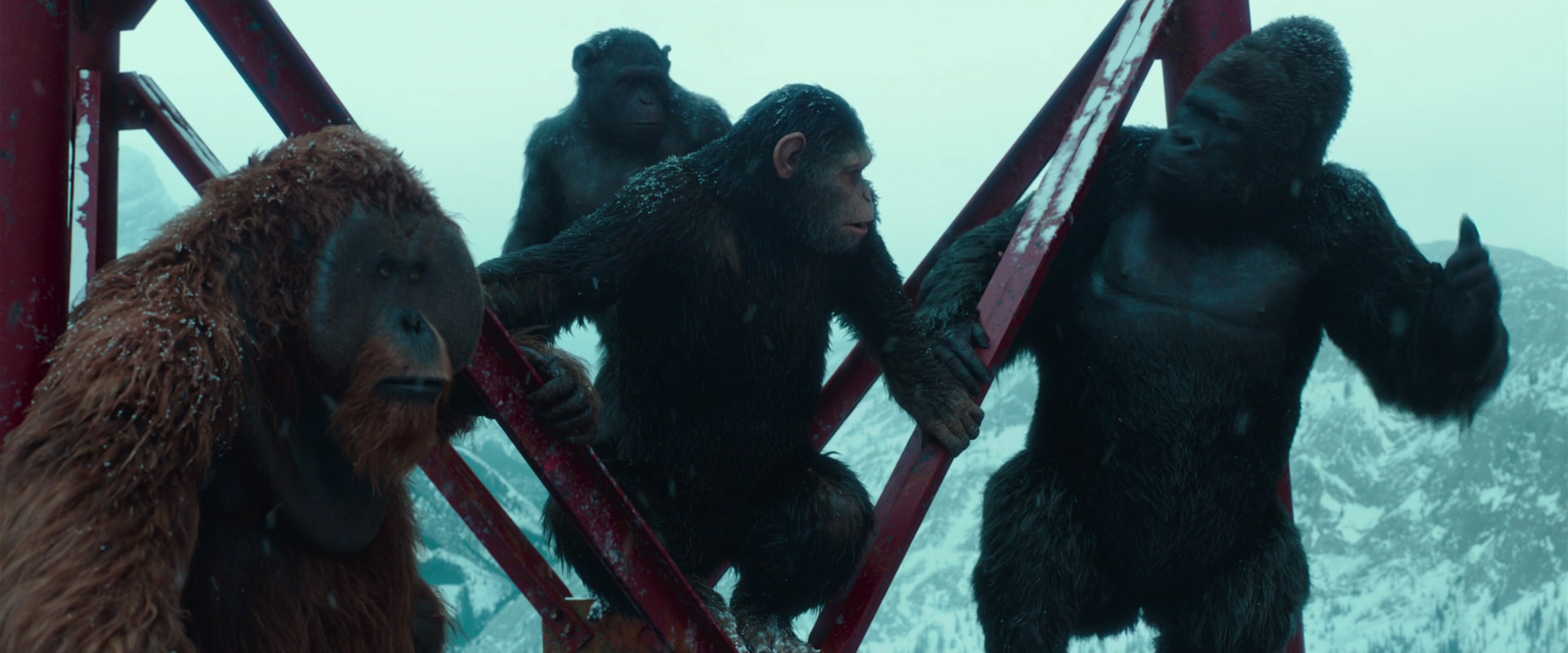 War for the Planet of the Apes (2017) screencap 4899