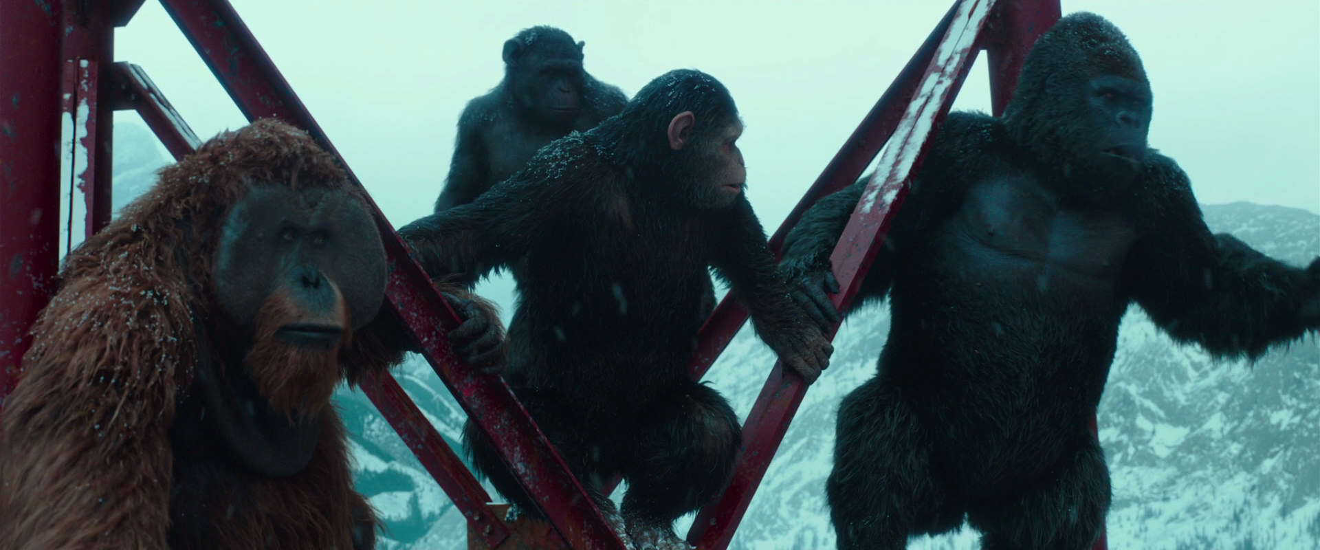 War for the Planet of the Apes (2017) movie still 4900