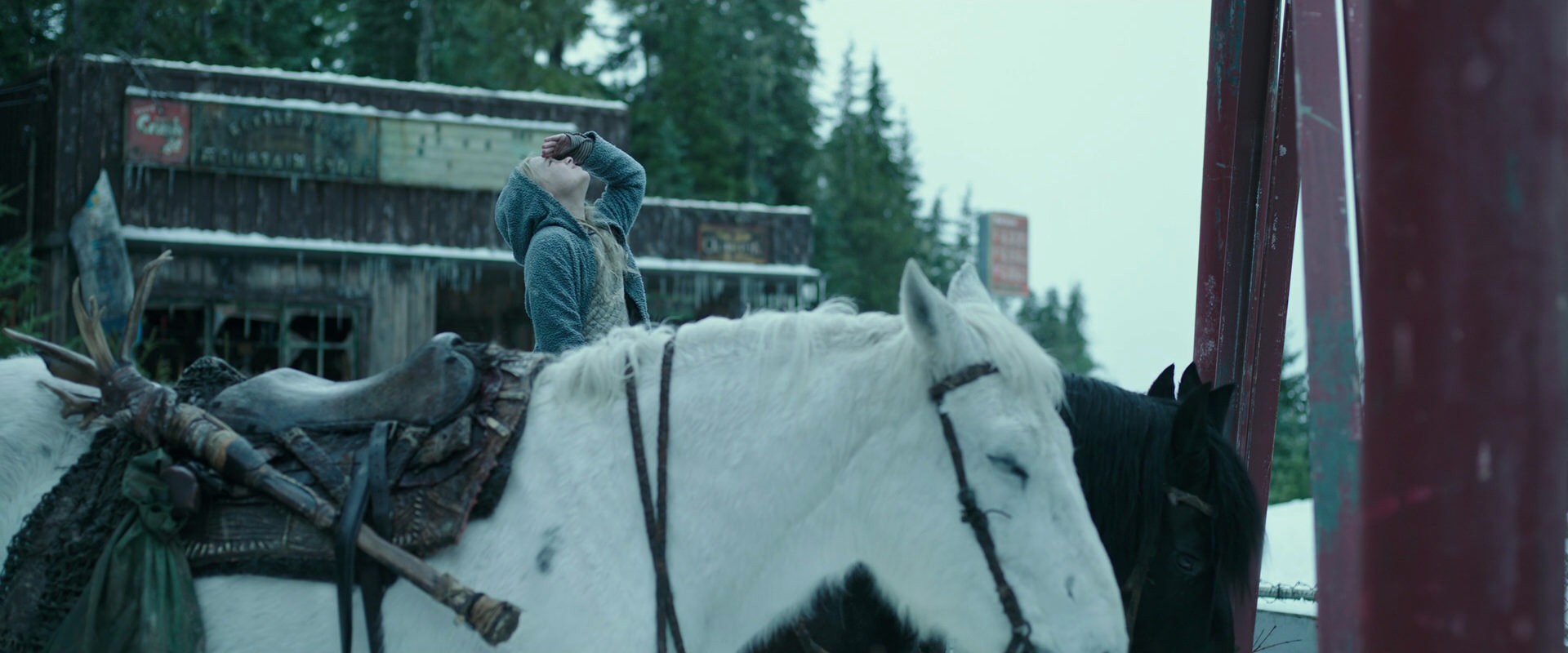 War for the Planet of the Apes (2017) screencap 4908
