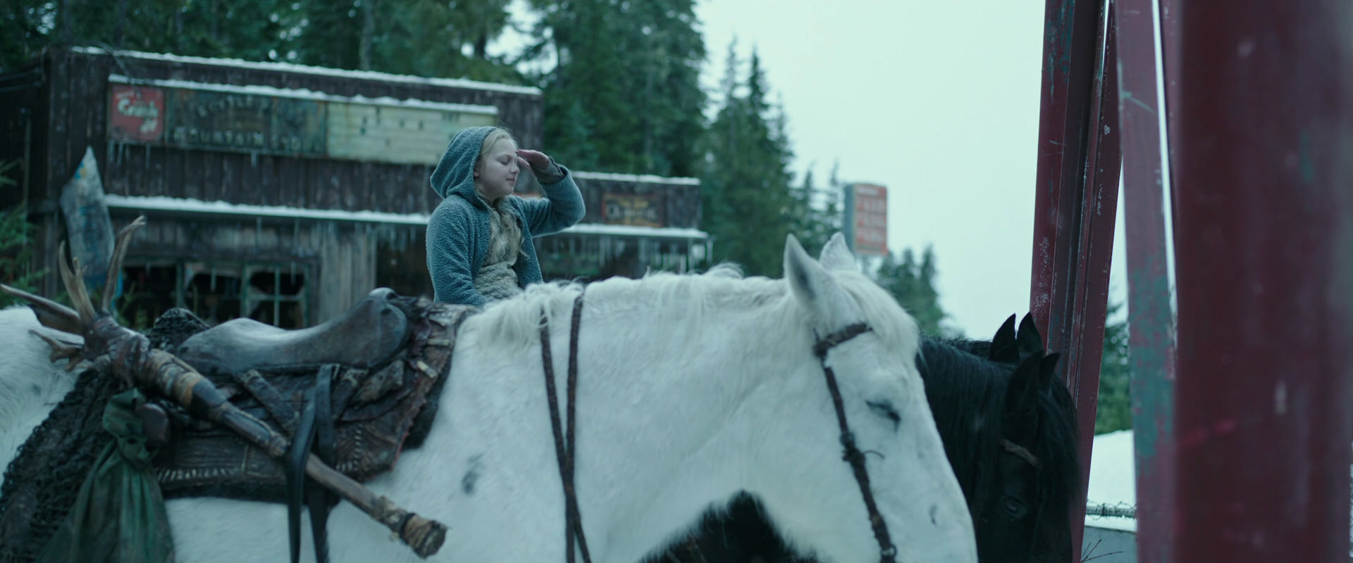War for the Planet of the Apes (2017) screencap 4911
