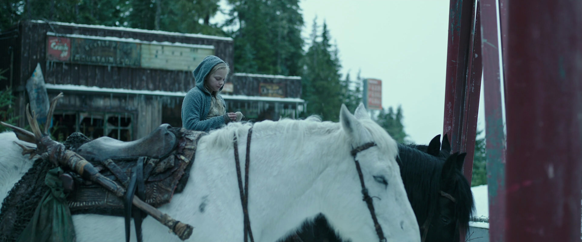 War for the Planet of the Apes (2017) screencap 4914