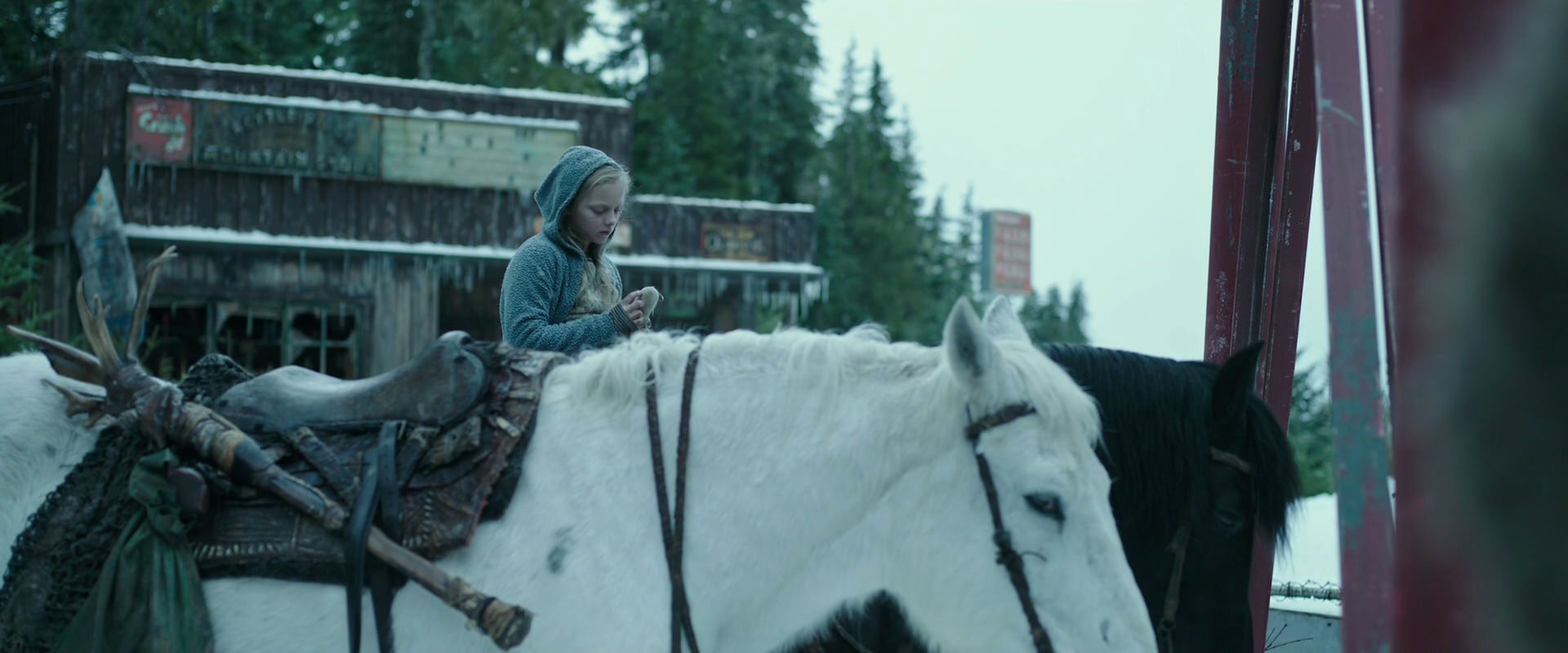 War for the Planet of the Apes (2017) screencap 4920