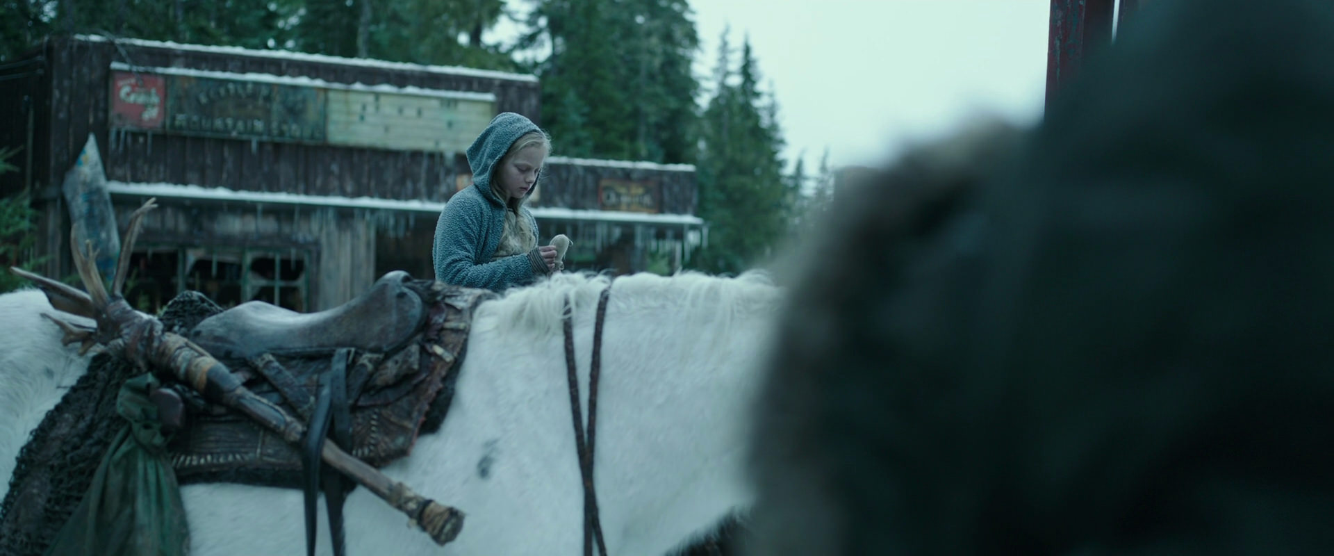 War for the Planet of the Apes (2017) screencap 4923