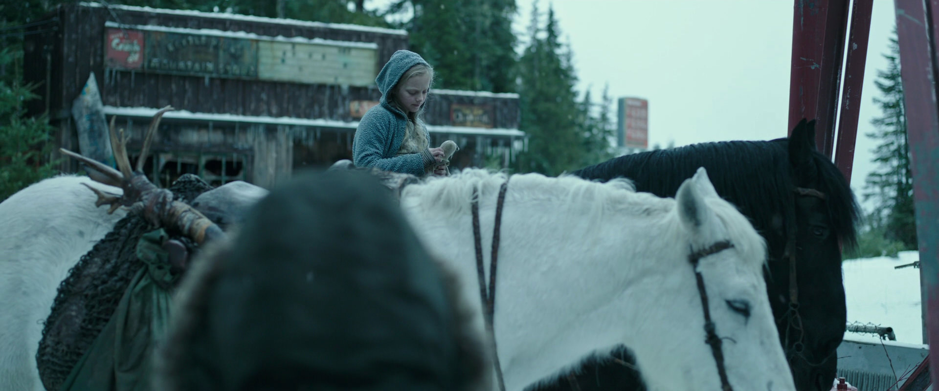 War for the Planet of the Apes (2017) screencap 4929