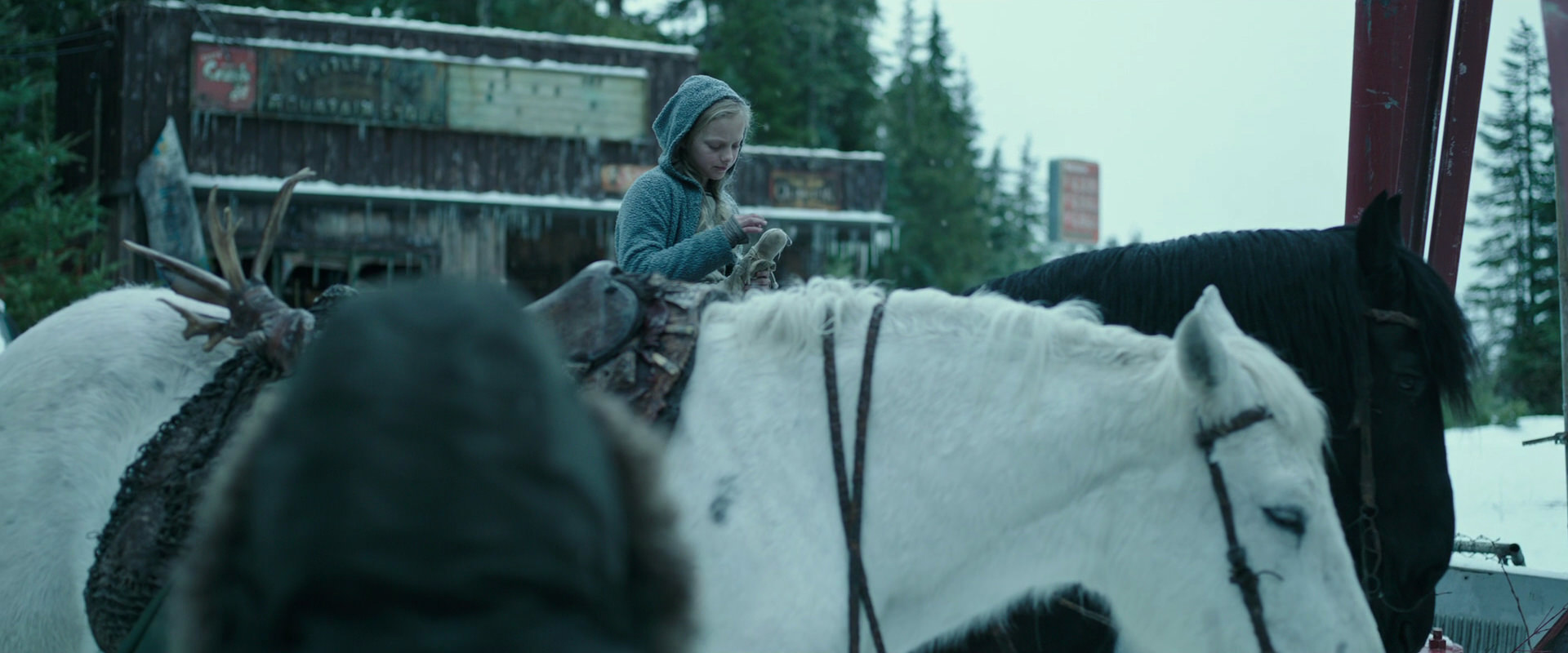 War for the Planet of the Apes (2017) movie still 4930
