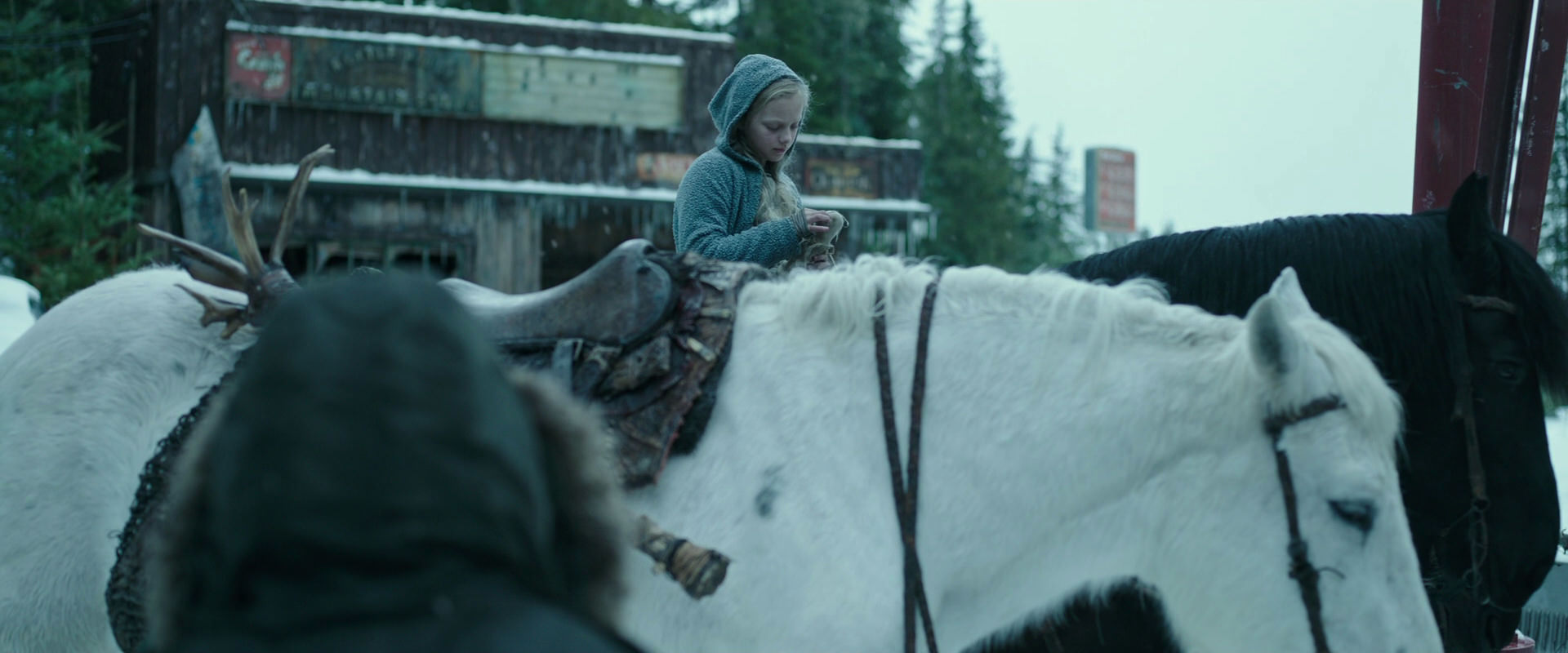War for the Planet of the Apes (2017) screencap 4932