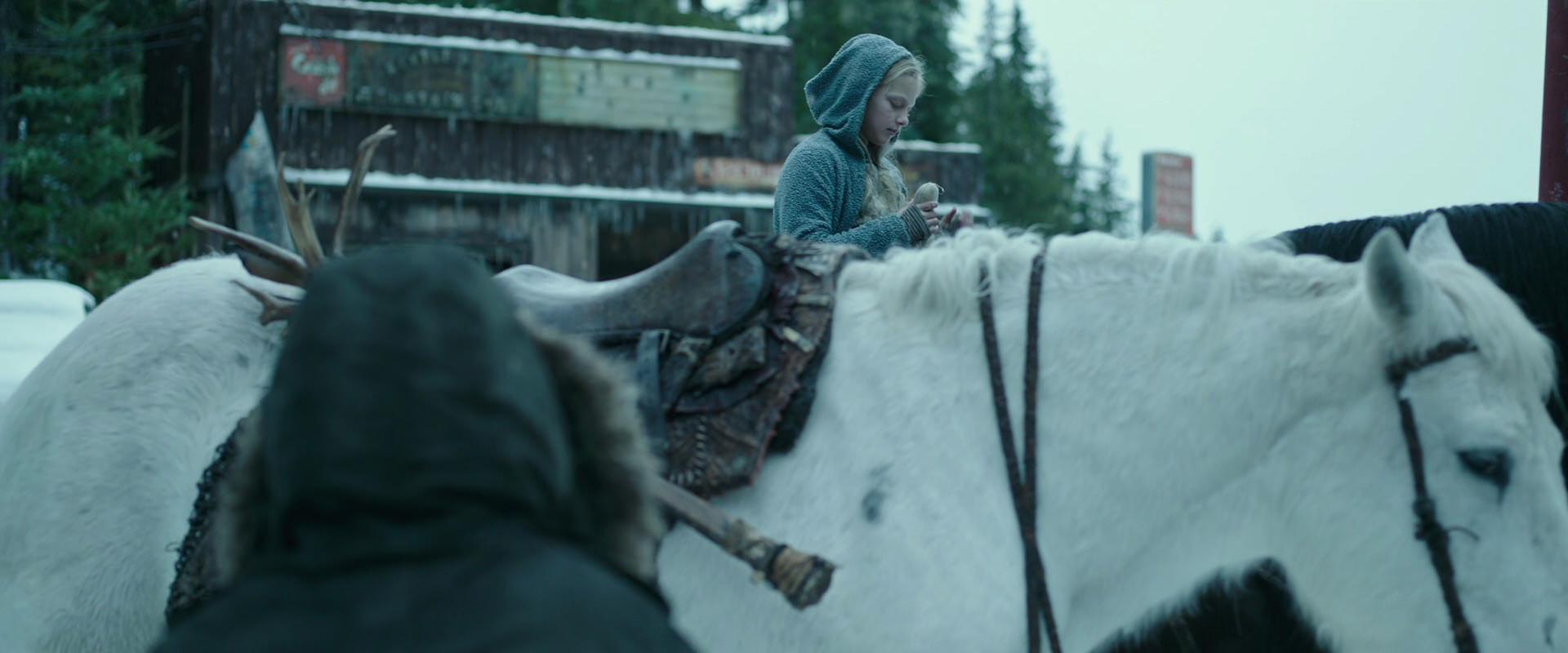 War for the Planet of the Apes (2017) screencap 4935