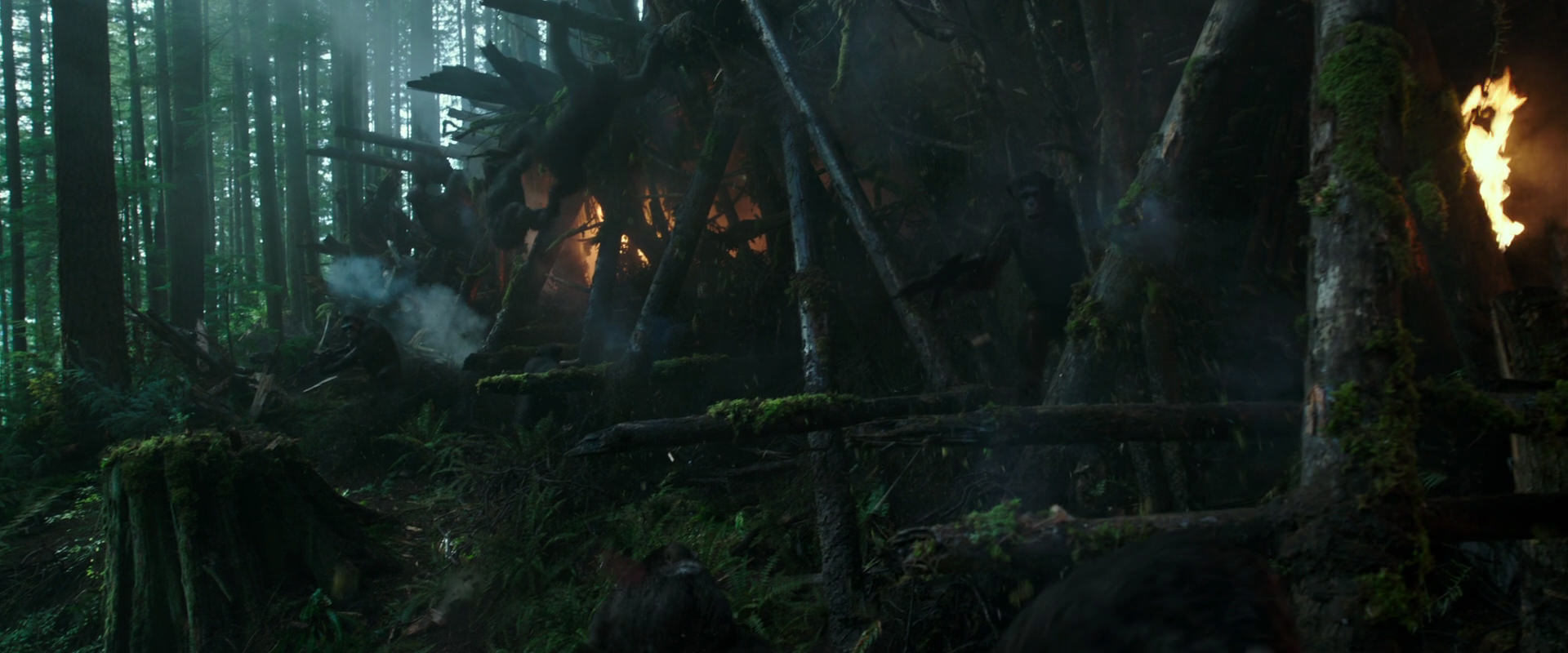 War for the Planet of the Apes (2017) screencap 495
