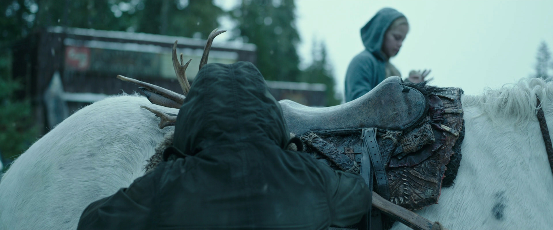 War for the Planet of the Apes (2017) screencap 4953