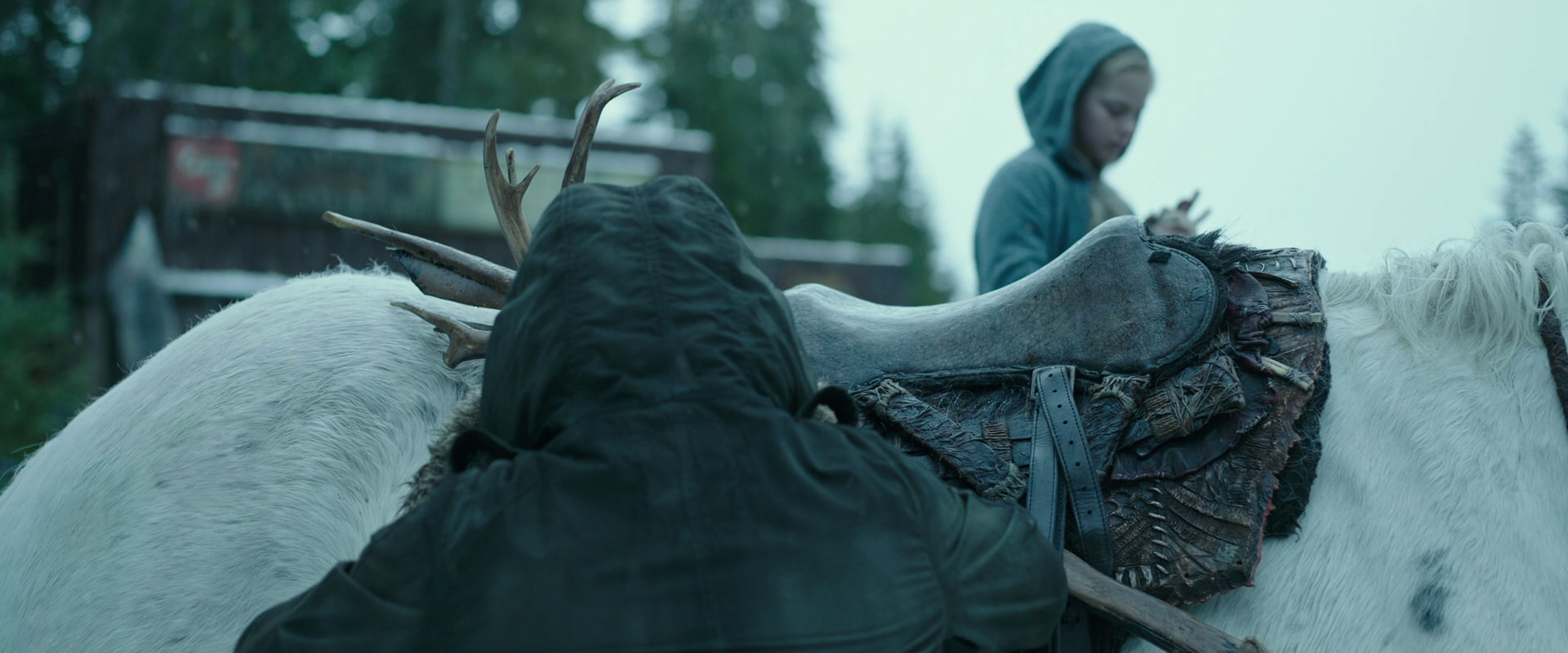 War for the Planet of the Apes (2017) movie still 4954