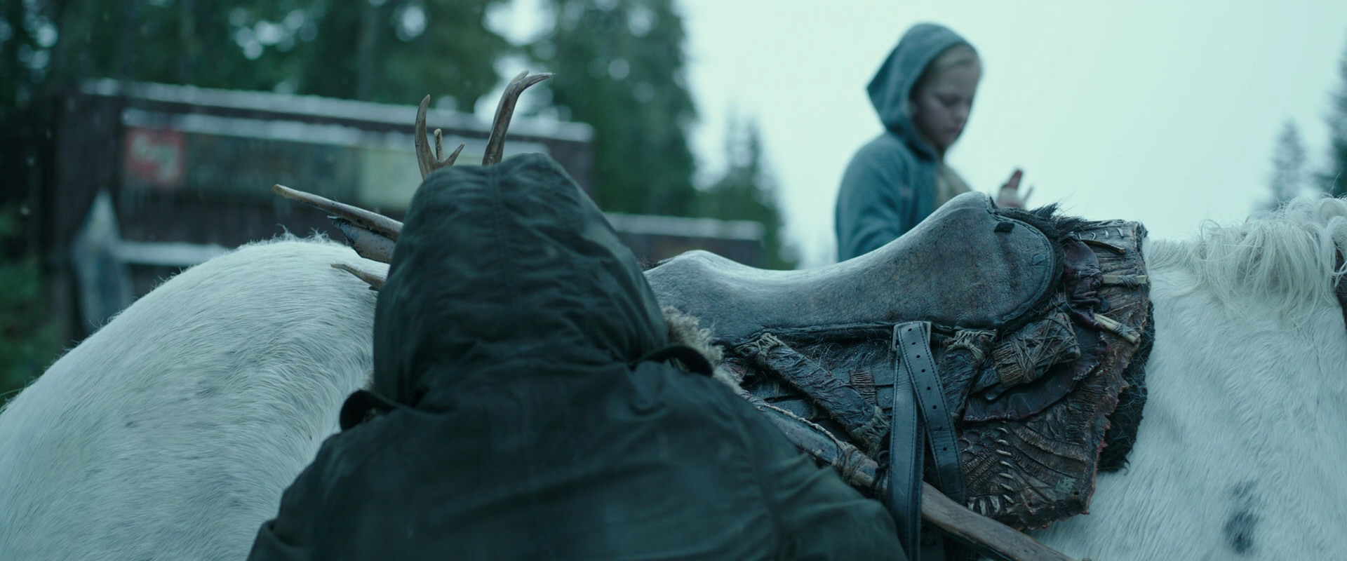 War for the Planet of the Apes (2017) screencap 4956