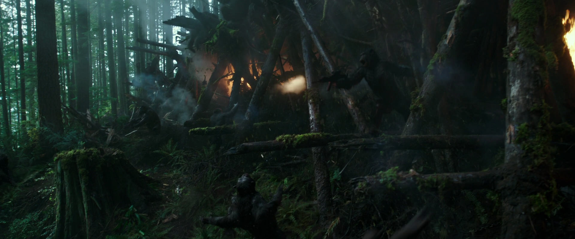 War for the Planet of the Apes (2017) movie still 496