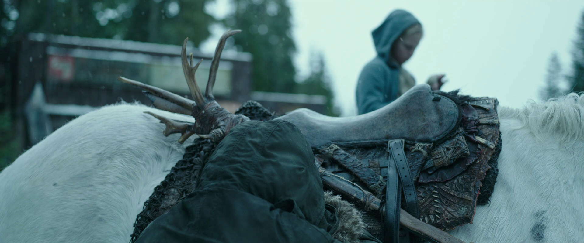 War for the Planet of the Apes (2017) screencap 4968