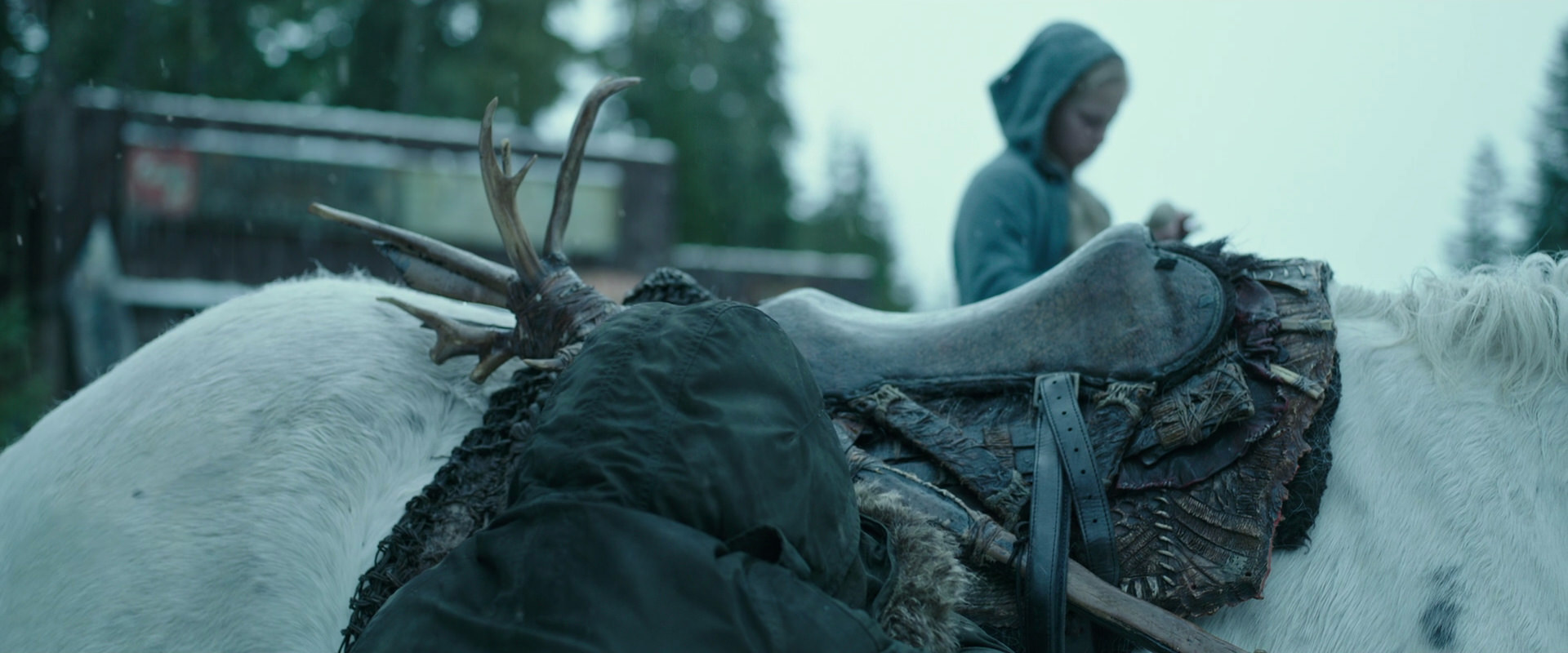 War for the Planet of the Apes (2017) screencap 4971