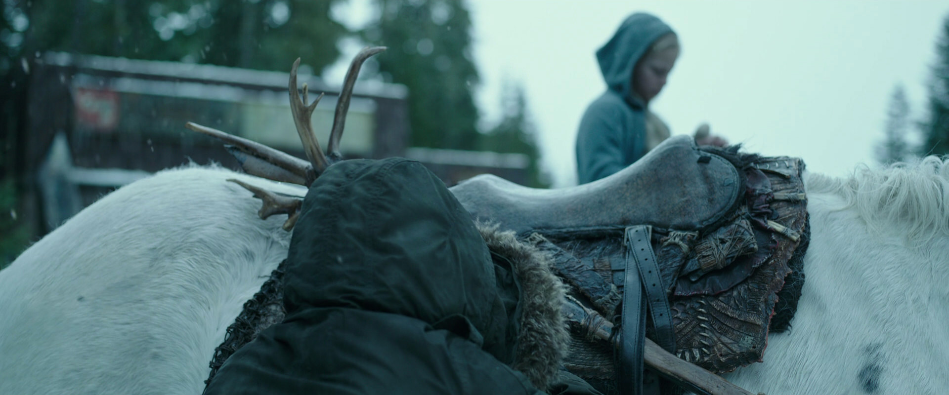 War for the Planet of the Apes (2017) screencap 4974