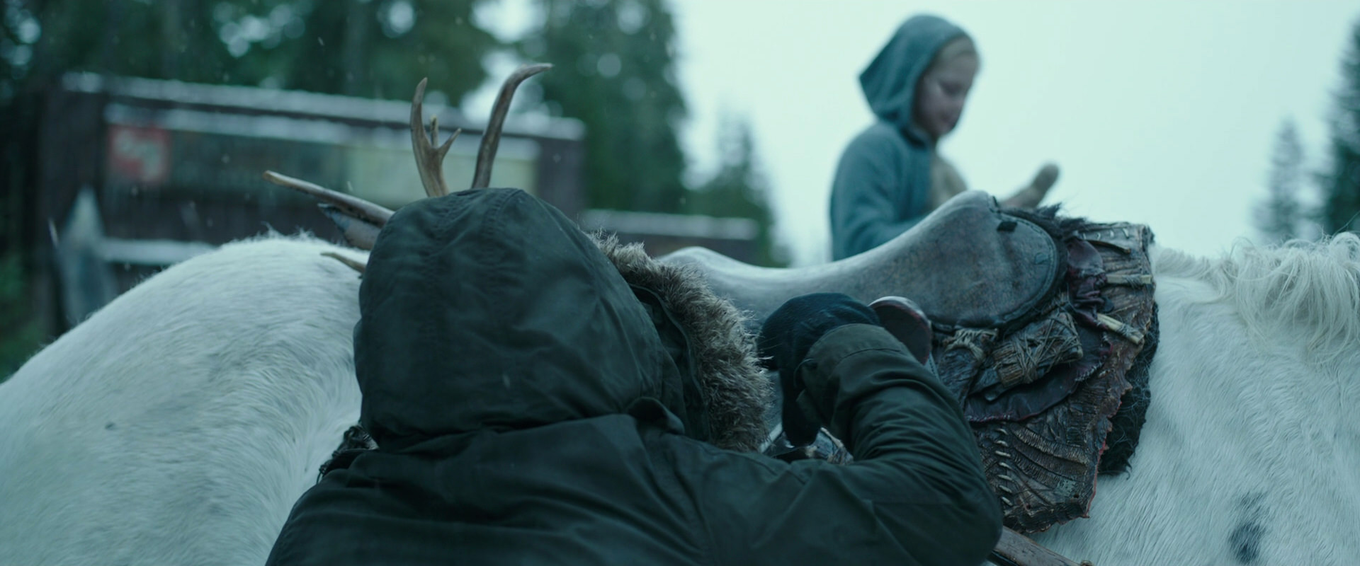 War for the Planet of the Apes (2017) screencap 4989