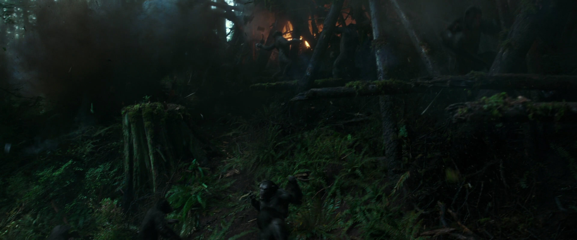 War for the Planet of the Apes (2017) movie still 499