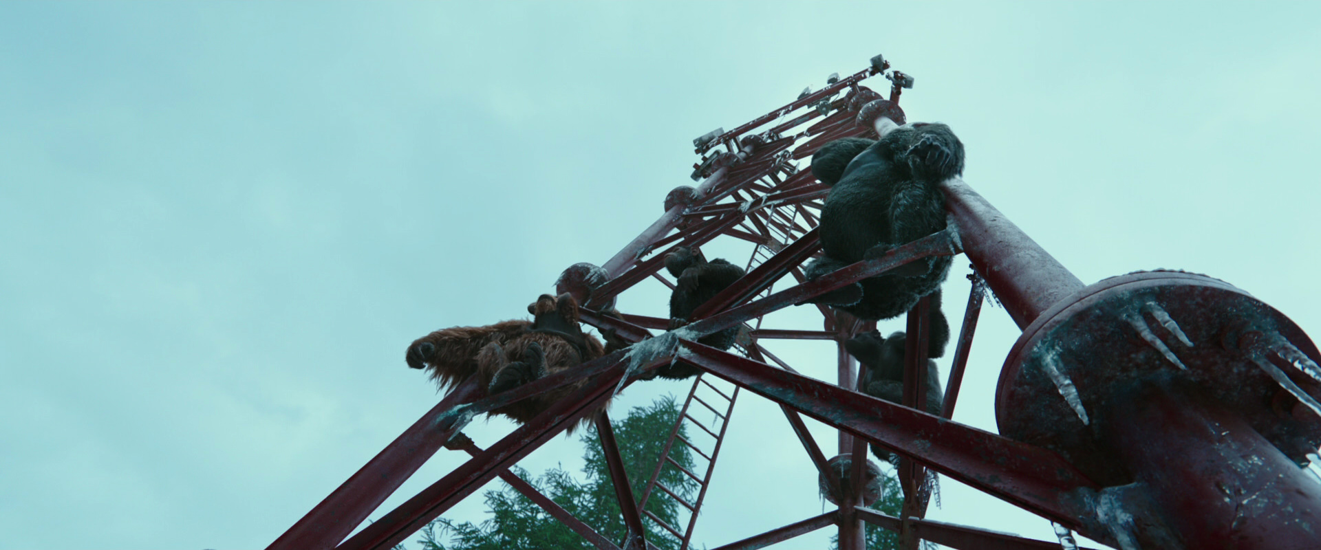 War for the Planet of the Apes (2017) HD screenshot 4997