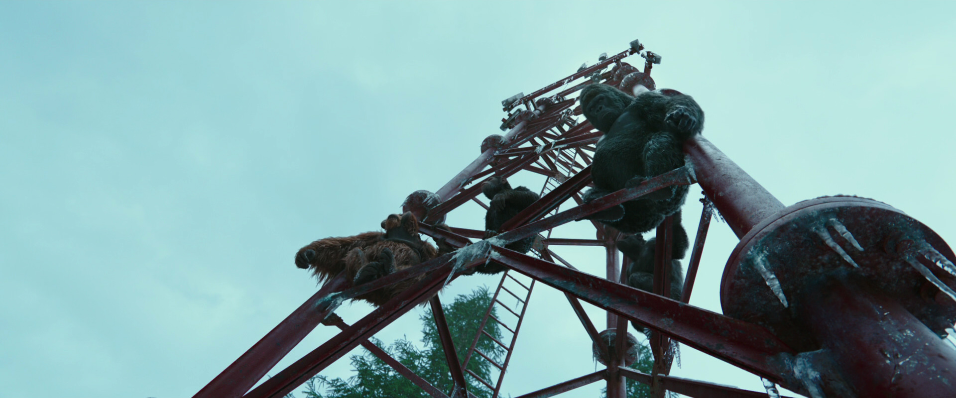 War for the Planet of the Apes (2017) screencap 4998