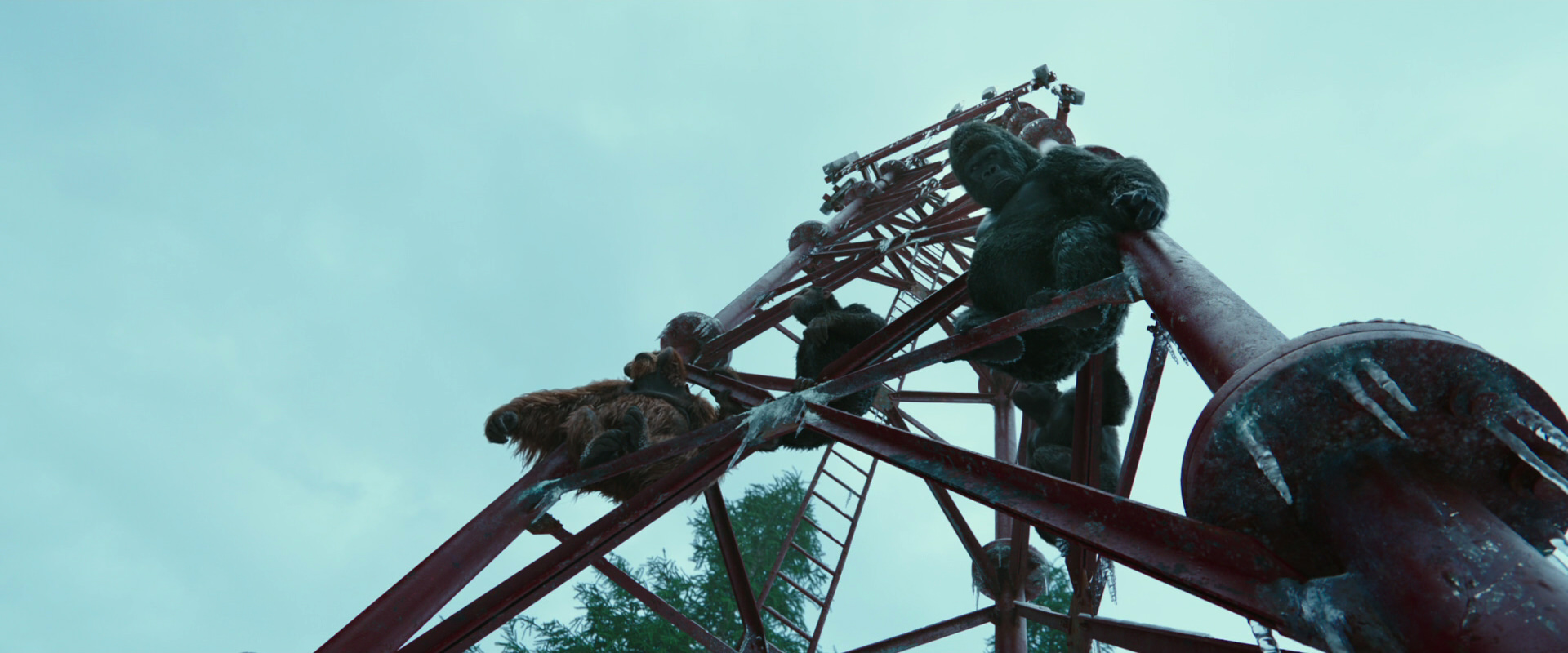 War for the Planet of the Apes (2017) movie still 4999