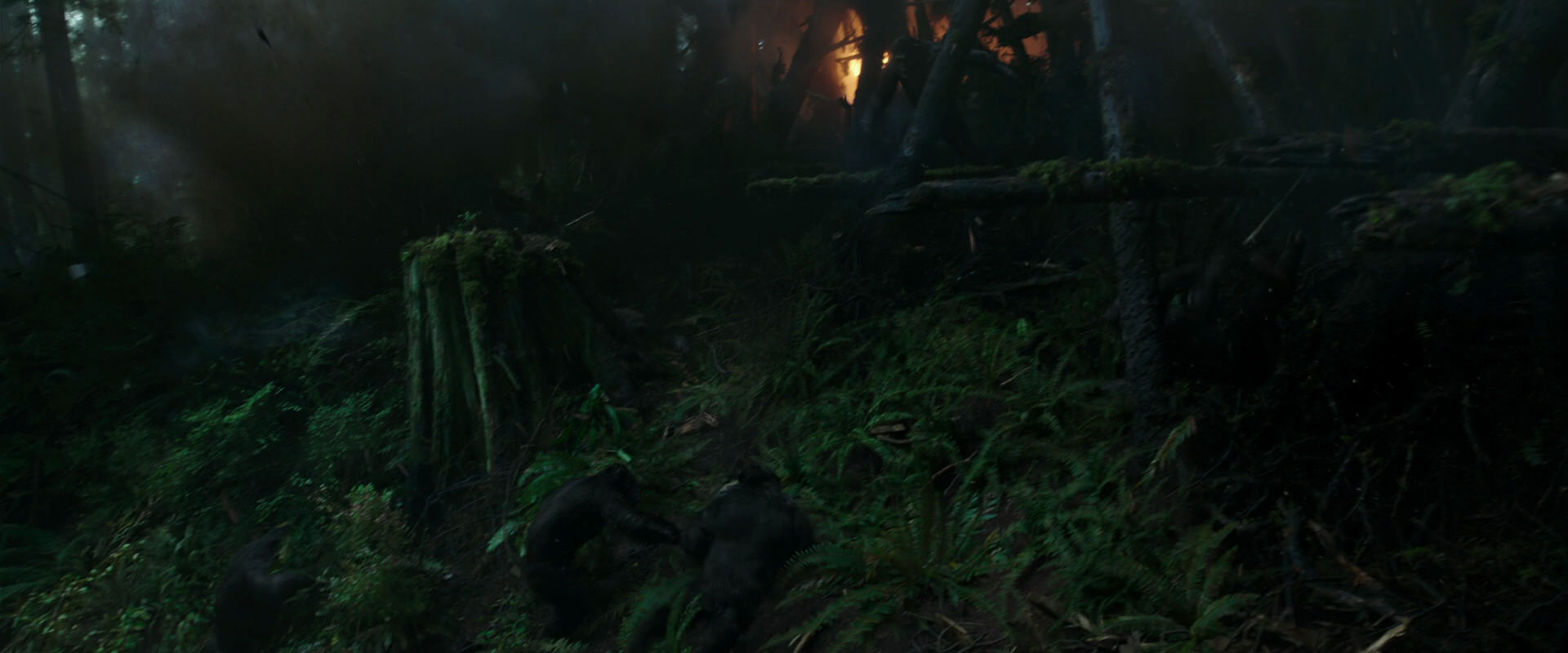 War for the Planet of the Apes (2017) HD screenshot 500