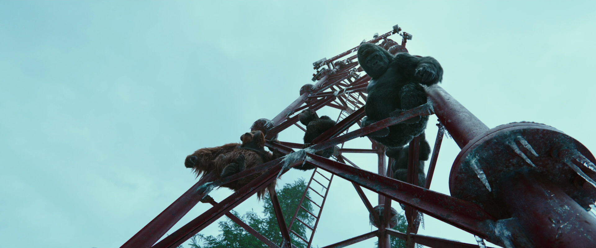War for the Planet of the Apes (2017) screencap 5004