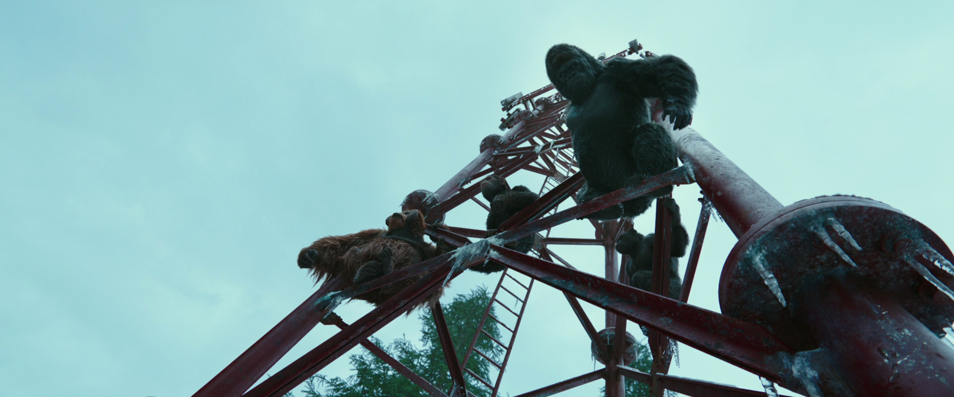 War for the Planet of the Apes (2017) movie still 5005