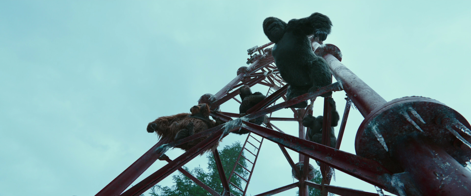 War for the Planet of the Apes (2017) HD screenshot 5006