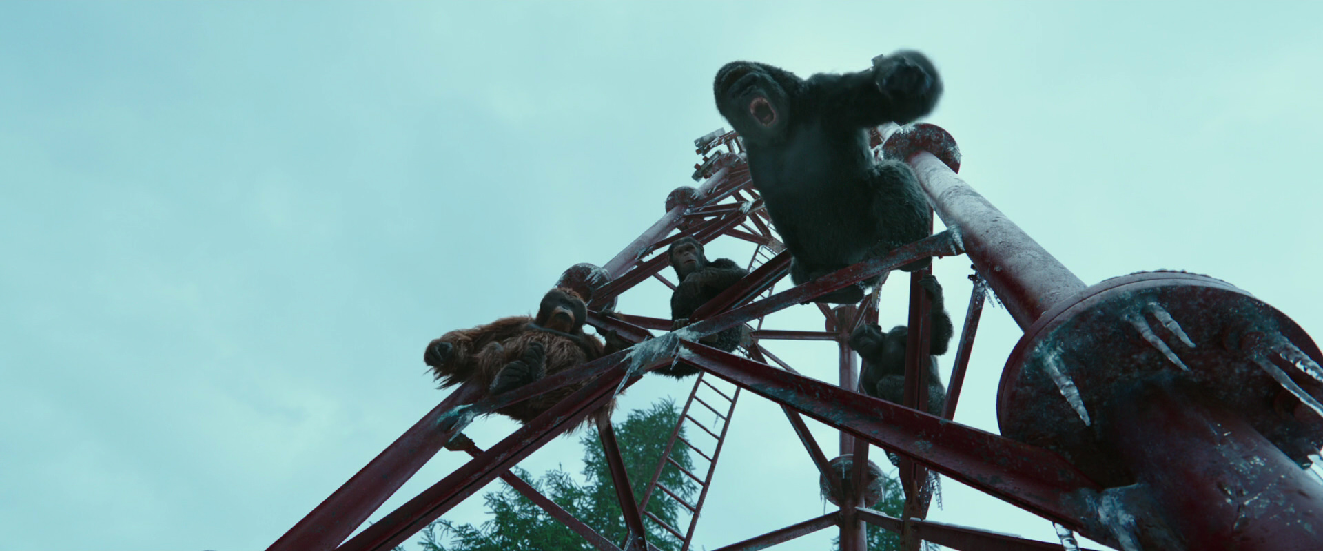 War for the Planet of the Apes (2017) screencap 5007